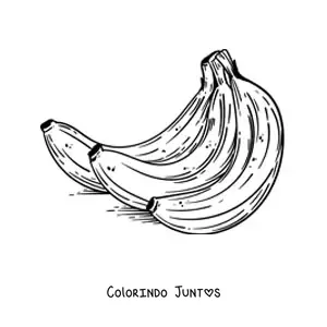 Desenho para colorir de um cacho de bananas realista