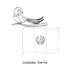 Desenho para colorir da bandeira da Guatemala com a ave nacional