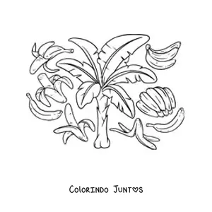 Desenho para colorir de várias bananas e uma bananeira