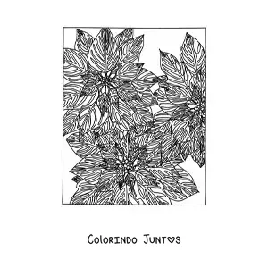Desenho para colorir de flores de Natal