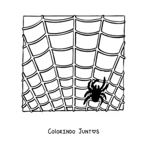 Desenho para colorir de aranha de Halloween em sua teia