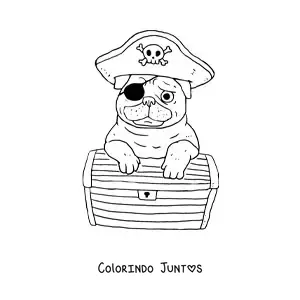 Desenho para colorir de pug pirata animado