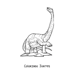 Desenho para colorir de dinossauro de pescoço comprido e cauda comprida realista
