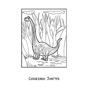 Desenho para colorir de altura de um dinossauro de pescoço comprido
