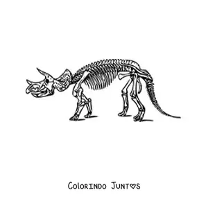 Desenho para colorir de esqueleto de um tricerátops