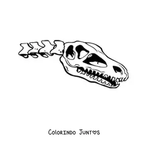 Desenho para colorir de crânio de um dinossauro