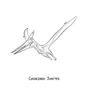 Desenho para colorir de pterodáctilo realista