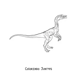 Desenho para colorir de dinossauro carnívoro pequeno realista