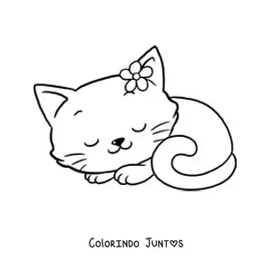 Desenho para colorir de gatinha kawaii grande com flor