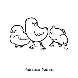 Desenho para colorir de 3 pintinhos kawaii comendo