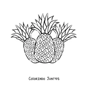Desenho para colorir de três abacaxis