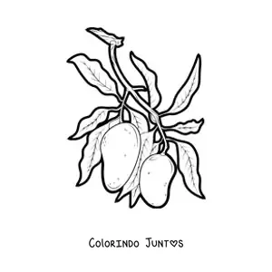 Desenho para colorir de um galho de mangueira com duas mangas penduradas