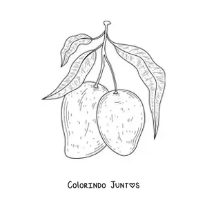 Desenho para colorir de um galho de mangueira com duas mangas penduradas