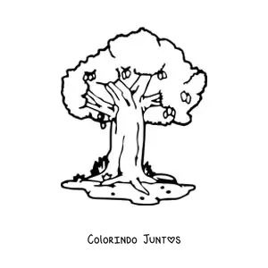 Desenho para colorir de uma mangueira