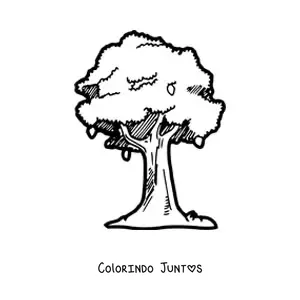 Desenho para colorir de uma mangueira