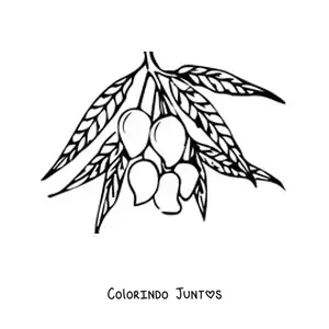 Desenho para colorir de um galho de mangueira com várias mangas penduradas
