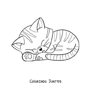 Desenho para colorir de gato kawaii animado listrado dormindo