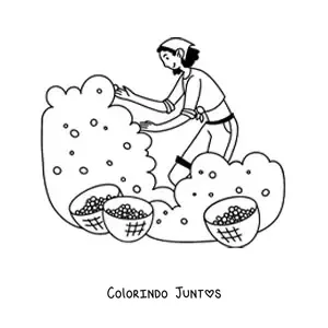 Desenho para colorir de menina colhendo frutos em uma plantação