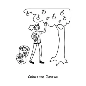Desenho para colorir de menina colhendo maçãs de uma árvore