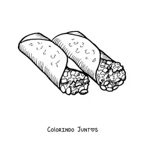 Desenho para colorir de burritos