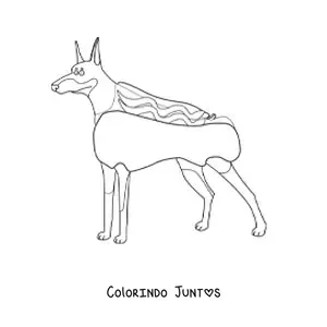 Desenho para colorir de um doberman fantasiado de cachorro-quente