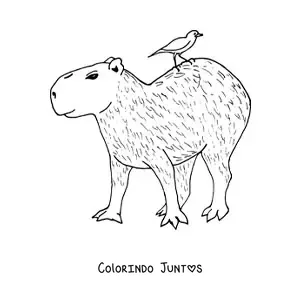 Desenho para colorir de capivara animada