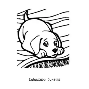 Desenho para colorir de um filhote brincando