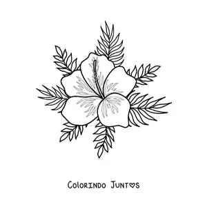 Desenho para colorir de flor havaiana fácil com folhas