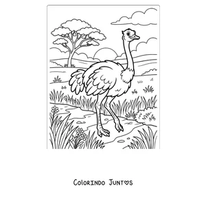 Desenho para colorir de uma avestruz na savana africana
