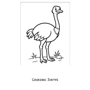 Desenho para colorir de uma avestruz simples para os pequenos