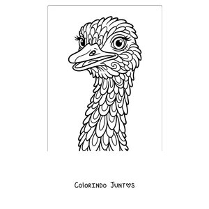 Desenho para colorir da cabeça de uma avestruz vista de perto