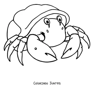Desenho para colorir de um caranguejo eremita na sua concha