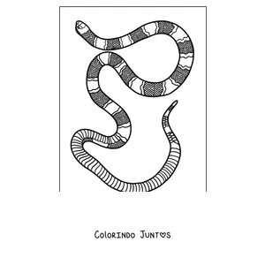 Desenho para colorir de uma cobra-coral com anéis
