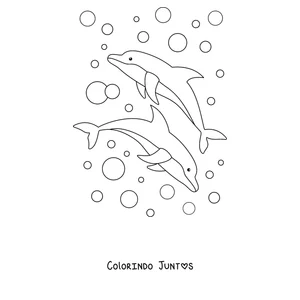 Desenho para colorir de dois golfinhos nadando entre bolhas