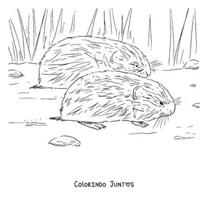 Desenho para colorir de dois lemingues entre a grama da tundra