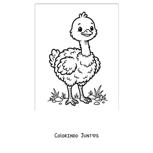 Desenho para colorir de um filhote de avestruz bem fofinho