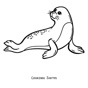 Desenho para colorir de uma foca descansando sobre o gelo