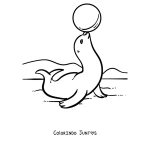 Desenho para colorir de uma foca equilibrando uma bola no nariz