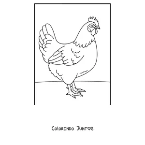 Desenho para colorir de uma galinha realista de perfil