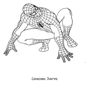 Desenho para colorir do Homem-Aranha agachado de quatro pronto para pular