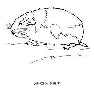 Desenho para colorir de um lemingue descansando de perfil