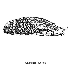 Desenho para colorir de uma lesma coberta de padrões para relaxar