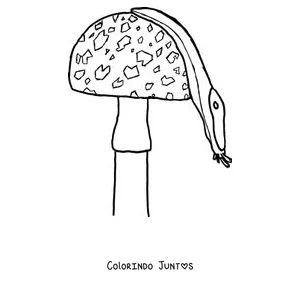 Desenho para colorir de uma lesma pendurada num cogumelo com pintas