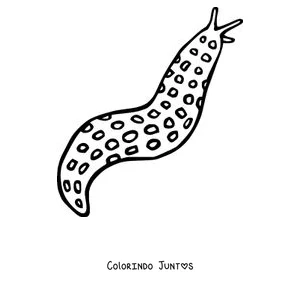 Desenho para colorir de uma lesma leopardo cheia de pintas