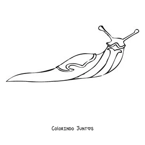 Desenho para colorir de uma lesma realista de corpo liso