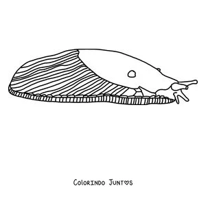 Desenho para colorir de uma lesma realista de perfil com o manto listrado