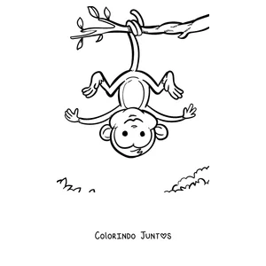 Desenho para colorir de um macaco pendurado de cabeça para baixo num galho