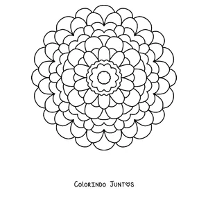 Desenho para colorir de uma mandala de primavera em forma de dália redonda de muitas pétalas