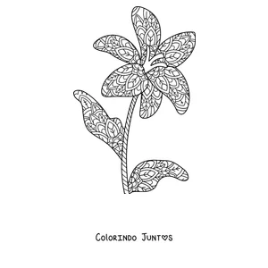 Desenho para colorir de uma mandala de primavera em forma de lírio com folhas e padrões