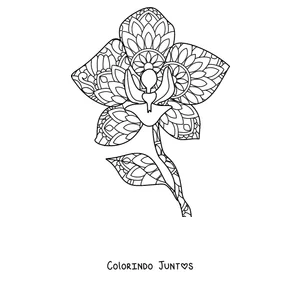 Desenho para colorir de uma mandala de primavera em forma de orquídea com pétalas decoradas
